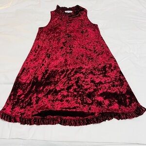 Annalee + Hope Burgundy Crushed Velvet Dress